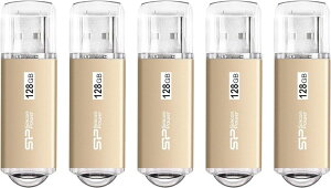 �V���R���p���[�y5�Z�b�g�zUSB������ 128GB USB3.1 USB3.0 USB-A �������[ USB�������[ �������X�e�B�b�N �O�t�������� �e�ʕs�� �ʐ^ �f�[�^�]�� �o�b�N�A�b�v �t���b�V�� �f�[�^ �L���b�v�� ��e