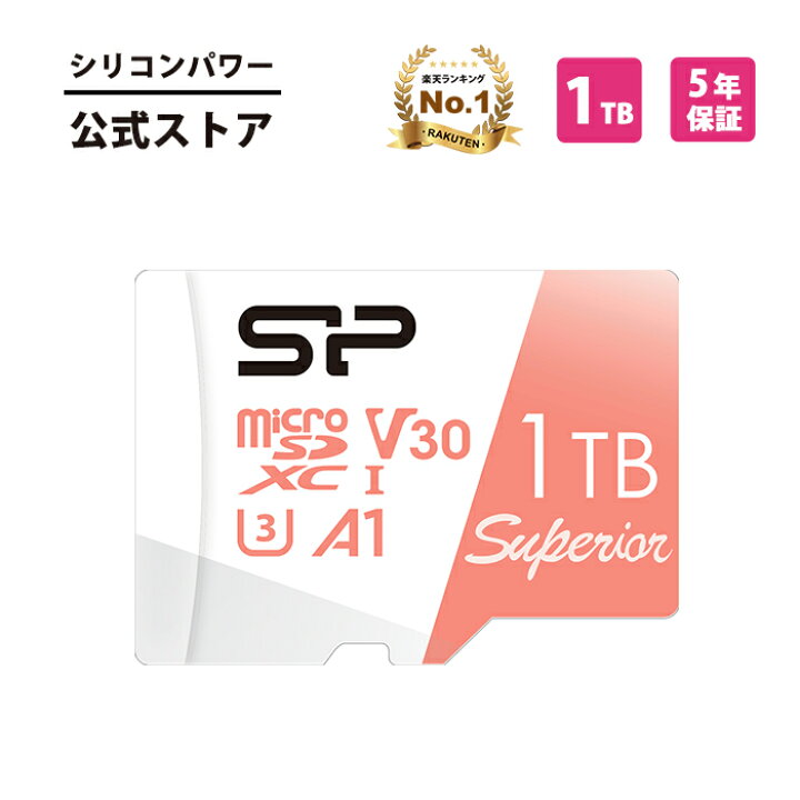 キングストン microSD 512GB 最大100MB/s UHS-I V30 A1 Nintendo