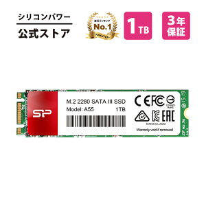 VRp[ SSD 1TB 3D NAND̗p SATA3 6Gbps M.2 2280 SATA III sata 1e 1T A55 p\R   f[^]  ϏՌ e ϋv ssd ^ssd ssd m[gp\Rp m[gpc fXNgbv 