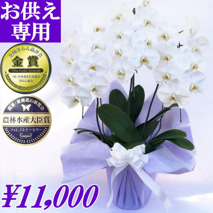 楽天市場 胡蝶蘭 お供え 花 御供 お悔やみ 白 3本立ち 24 25輪 あす楽 枕花 仏花 献花 忌 お盆 お彼岸 花 供花 新盆 初盆 おそなえ 通夜 葬儀 告別式 法要 仏事 仏壇 命日 供養 胡蝶蘭専門農家の生産直売 神奈川県平塚市から胡蝶蘭を直送 大輪胡蝶蘭 あす楽対応 送料