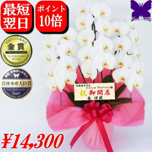 3{ Ӓ j JXj 1000~OFFN[|s12/27܂Ł J@j JƏj  Ӓ  JXj J@j JƏj ړ]j Ij ӒX Xm Ӓ M AC ސE 