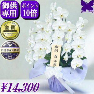 10/31܂Ŏg1000~OFFN[|p Ӓ @   䋟      ~ ފ V~  Ӓ  3{ 27  Ȃ V ʎ @v d 