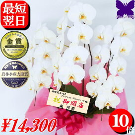 楽天市場】玄米 30Kg 2024年度産 はるみ 湘南平塚で生産直売 送料無料 