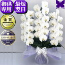 お供え専用 胡蝶蘭 お供え 花 御供 【最短翌日お届け】お悔やみ 法事 白 3本立ち 5本立ち 枕花 仏花 献花 忌 お盆 お彼岸 花 供花 新盆 初盆 おそなえ 通夜 葬儀 告別式 法要 仏事 仏壇 命日 供養 神奈川県平塚から生産直売 大輪 贈り物 送料無料 鉢花 アレンジ 花の写真