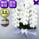 【2000円OFFクーポン】8/12まで お供え専用 胡蝶蘭 お供え 花 御供 【最短翌日お届け】お悔やみ 法事 白 3本立 5本立 枕花 仏花 献花 忌 お盆 お彼岸 花 供花 新盆 初盆 おそなえ 通夜 葬儀 告別式 法要 仏事 仏壇 命日 供養 神奈川県平塚から生産直売 大輪 送料無料 鉢花