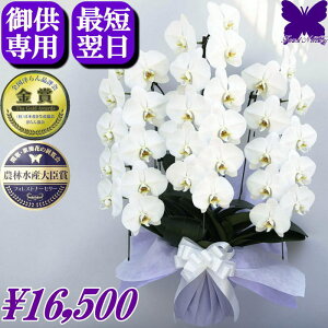y2000~OFFN[|z10/9܂ p Ӓ   䋟 yŒZ͂z @  3{ 5{     ~ ފ   V~ ~ Ȃ ʖ V ʎ