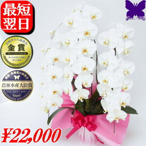 3{ Ӓ 5{ JXj 2000~OFFN[|s12/27܂Ł   j j JXj J@j JƏj ړ]j ACj Ij ͏j h]j ij ސEj 