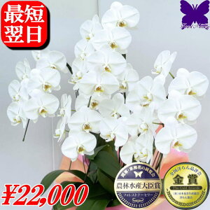  5{ Ӓ 2000~OFFN[|s12/27܂Ł 3{   JXj j j JXj J@j JƏj ړ]j ACj Ij ͏j h]j ij ސE