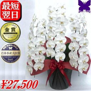 10/31܂Ŏg2000~OFFN[|j 3{ Ӓ JXj 36   j j J@j JƏj ړ]j ACj Ij ͏j h]j ij ސEj Mtg 