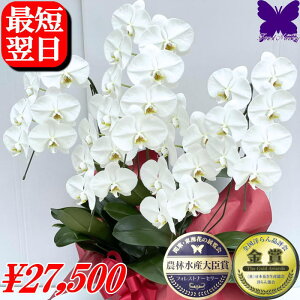 10/31܂Ŏg2000~OFFN[|5{ Ӓ j JXj   j JXj J@j JƏj ړ]j ACj Ij ͏j h]j ij ސEj  䋟