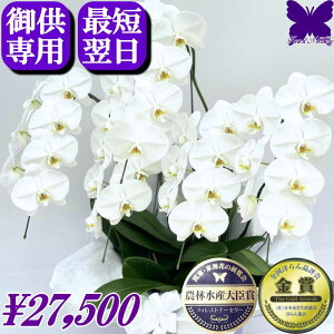 p Ӓ 5{  2000~OFFN[|s11/30܂Ł  䋟 yŒZ͂z @      ~ ފ   V~ ~ Ȃ ʖ V 