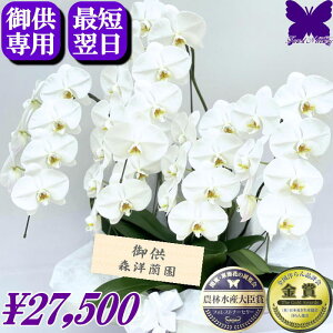 p Ӓ 5{  2000~OFFN[|s12/27܂Ł  䋟 yŒZ͂z @      ~ ފ   V~ ~ Ȃ ʖ V 