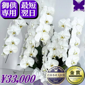 2000~OFFN[|10/9܂ p Ӓ   䋟 yŒZ͂z @  5{     ~ ފ   V~ ~ Ȃ ʖ V ʎ @