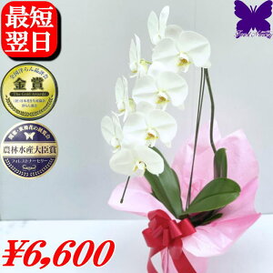 j Ӓ  Ӓ 1{ 6`8 JXj JƏj J@j Ӓ j Ӓ JXj Ij ӒXtHXgi[T[ Xm ~ ފ MjACjiCސE