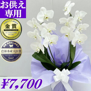 49日 法要 花 生花の人気商品 通販 価格比較 価格 Com