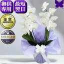 お供え専用 胡蝶蘭 お供え 花 御供 【最短翌日お届け】お悔やみ 法事 白 2本立ち 1本立ち あす楽 枕花 仏花 献花 忌 お盆 お彼岸 花 供花 新盆 初盆 おそなえ 通夜 葬儀 告別式 法要 仏事 仏壇 命日 供養 神奈川県平塚から生産直売 大輪 贈り物 送料無料 鉢花 アレンジ