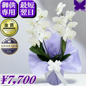 y1000~OFFN[|z9/30܂ p Ӓ   䋟 yŒZ͂z @  2{ 1{ y     ~ ފ   V~ ~ Ȃ ʖ 