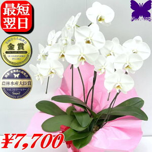 j Ӓ a JXj JƏj J@j 500~OFFN[|s11/30܂Ł 3{ 2{  Ӓ j Ӓ JXj Ij ӒXtHXgi[T[ Xm ~ 