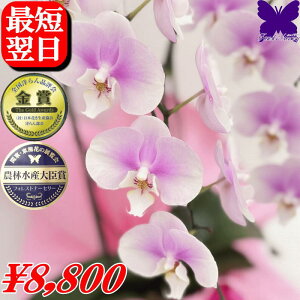 Ӓ JX̂j J@̂j 500~OFFN[|s12/27܂Ł JƂ̂j Îj M̂jh]̂j îj ACj Ӓ 3{  18 j 