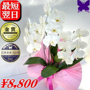 10/31܂Ŏg500~OFFN[|Ӓ JX̂j J@̂j JƂ̂j Îj Mjh]j ij ACj Ӓ 3{  18 j  ސE