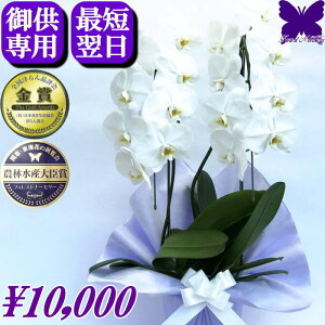 y1000~OFFN[|z9/30܂ p Ӓ   䋟 摜zM   3{ y    ~ ފ   V~ ~ Ȃ ʖ V ʎ @v 