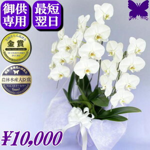 y1000~OFFN[|z9/30܂ p Ӓ     3{    ~ ފ   V~ ~ ʖ V ʎ @v  d  { Ӓ_Ƃ