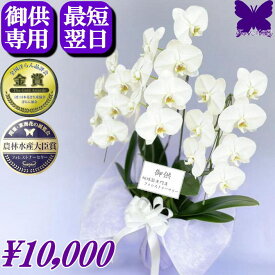 お供え専用 胡蝶蘭 ★1000円OFFクーポン発行中11/30まで★ 供花 お供え花 御供 画像配信あり 最短翌日お届け お悔やみ 大輪 胡蝶蘭 白3本立ち 枕花 仏花 献花 お盆 お彼岸 新盆 初盆 葬儀 告別式 法要 仏事 命日 供養 胡蝶蘭専門農家の生産直売 神奈川県平塚市 アレンジ