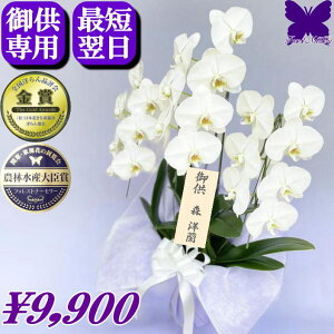 p Ӓ  500~OFFN[|s11/30܂Ł    3{    ~ ފ  V~ ~ V ʎ @v  d  { Ӓ_Ƃ