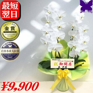 Ӓ j 500~OFFN[|s12/27܂Ł JXj JƏj J@j  2{ 3{  ACj ސEj Ӓ j JXj Ij Mj ij Cj җj Ďj Vzj 