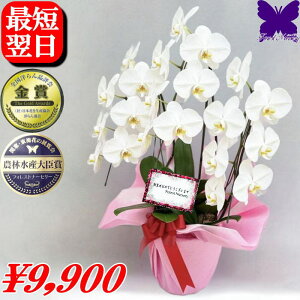 Ӓ 500~OFFN[|s12/27܂Ł JX̂j J@̂j JƂ̂j Îj M̂j h]̂j îj AĈj Ӓ  j ސEҗĎ