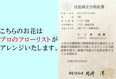 胡蝶蘭お供えアレンジメント花仏花お供え花献花お盆お彼岸花供花お悔やみ枕花新盆おそなえ通夜葬儀告別式法要仏事仏壇命日ご供養満中陰胡蝶蘭専門農家の生産直売神奈川県平塚市から胡蝶蘭を直送送料無料