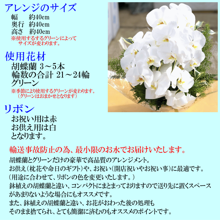楽天市場】胡蝶蘭 アレンジメント ☆1000円OFFクーポン発行中12/27まで