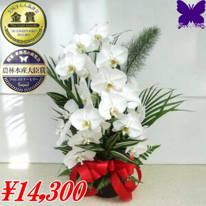 Ӓ AWg 1000~OFFN[|s12/27܂Ł  3`5{ 21`24 a JXj JƏj J@j h]j ij  Mtg  j i  Mj ACj i C 