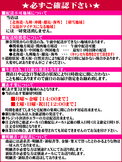 胡蝶蘭3本立ちお祝いお供え開店祝開業祝開院祝当選祝神奈川県平塚市から発送お盆お彼岸叙勲祝就任祝進発着任退職還暦米寿新築祝胡蝶蘭花ギフト母の日敬老の日胡蝶蘭送料無料【あす楽対応】