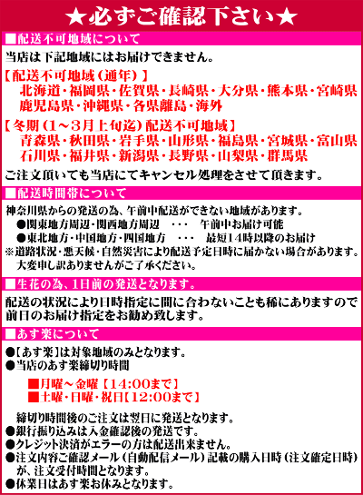 胡蝶蘭3本立ちお祝いお供え開店祝開業祝開院祝当選祝神奈川県平塚市から発送お盆お彼岸叙勲祝就任祝進発着任退職還暦米寿新築祝胡蝶蘭花ギフト母の日敬老の日胡蝶蘭送料無料【あす楽対応】