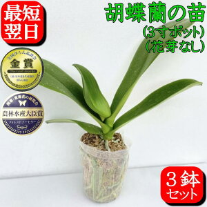 Ӓ c  ԉȂ 3`5Zbg 500~OFFN[|s12/27܂Ł 6600~` ԕc Ӓc mc Ӓ͔| Ӓ̕c ̔X