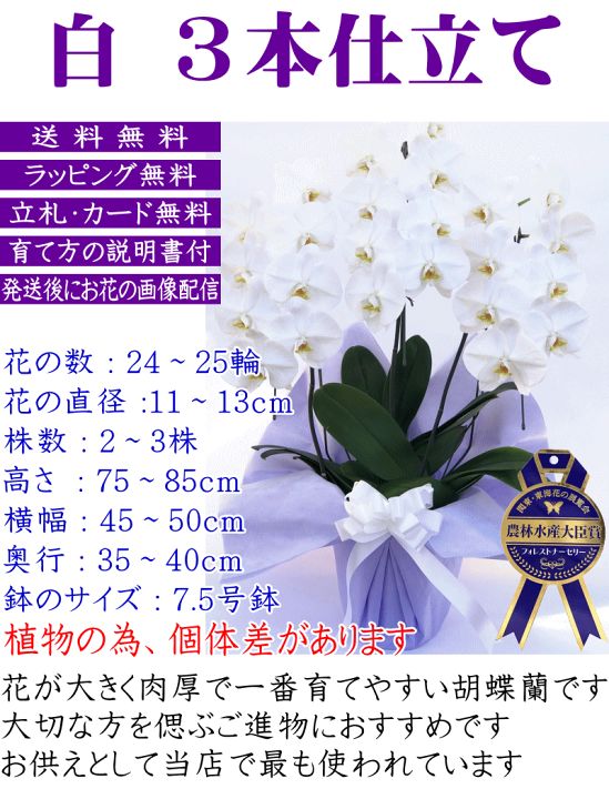 福袋セール】 3本立ち 枕花 お供え お盆 命日 ネット限定 お彼岸 ホワイト お悔やみ 福袋セール】 3本立ち 枕花 お供え お盆 命日 ネット限定 お彼岸 ホワイト お悔やみ