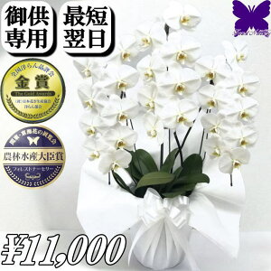 y1000~OFFN[|z9/30܂ p Ӓ ~  䋟   3{ 24  y     ~ ފ   V~ ~ ʖ V ʎ @v  d  