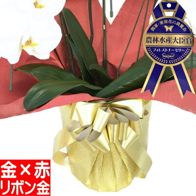 【金赤ラッピング&金リボン】(単品での販売は出来ません)