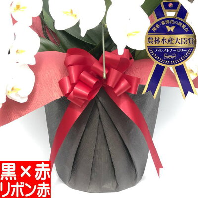 【黒赤ラッピング&赤リボン】(単品での販売は出来ません)