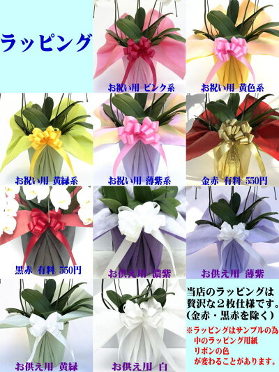 胡蝶蘭3本立ち開店祝い開院祝い白/白赤/ピンク胡蝶蘭専門農家の神奈川県平塚市から生産直売開業祝いに胡蝶蘭送料無料お祝い胡蝶蘭お供え叙勲就任退職還暦米寿新築誕生日花ギフトミディ母の日