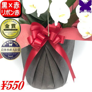 yԃbsO&ԃ{z@Pił̔̔͏o܂BԂƂ̃Zbgł̔̔ƂȂ܂B