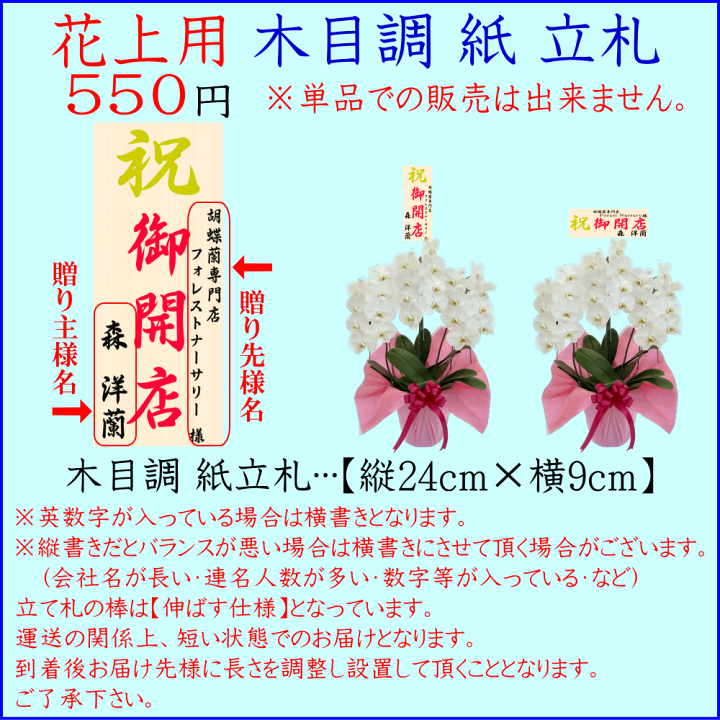 楽天市場】3本立ち 開店祝い 胡蝶蘭 ☆500円OFFクーポン発行中2/28まで