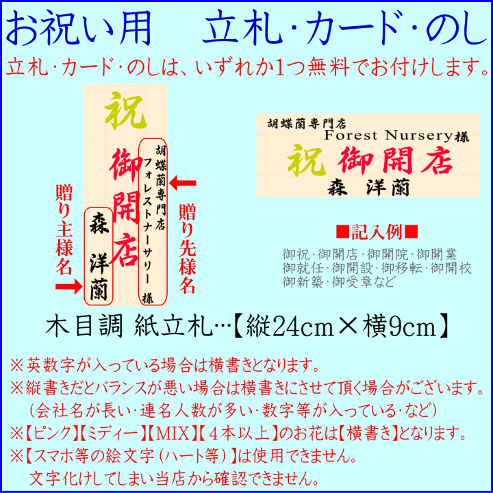 楽天市場】胡蝶蘭 開店のお祝い 開院のお祝い ☆500円OFFクーポン発行