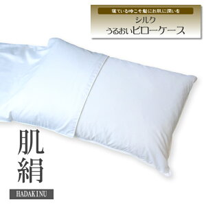 yP10{z50×70cm@qDłVNysP[X@VN͎R񂾊Ղ̑@ہ@VN̂ґ򊴁z@{@yHADAKINUz