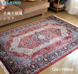 DO~ Ch VN ԁE_I120x190cm  킢 nhCh ChG AWAG `H| WCv[ ChyY CeA G O }bg J[ybg 