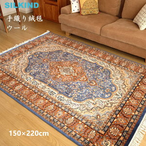 DO~ Ch E[ E_I150x220cm  킢 nhCh ChG AWAG `H| WCv[ ChyY CeA G O }bg J[ybg 