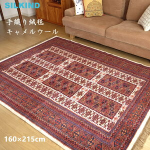 DO~ Ch LE[ EgCo160x215cm  킢 nhCh ChG AWAG `H| WCv[ ChyY CeA G O }bg J[