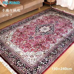 DO~ Ch VN ԁE_I150x240cm  킢 nhCh ChG AWAG `H| WCv[ ChyY CeA G O }bg J[ybg 