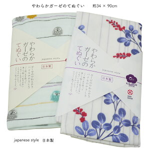 Ăʂ K[[ pC 炩K[[̂Ăʂ { K[[ Ăʂ^I pC B 100  K X|[c Mtg   v[g lR|X